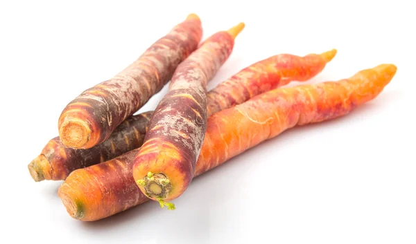 Carota fresca colorata — Foto Stock