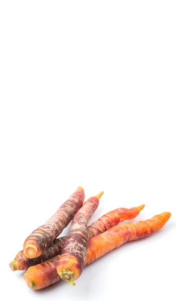 Πολύχρωμα φρέσκα καρότα — Φωτογραφία Αρχείου