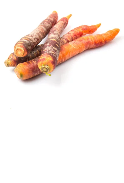 Carota fresca colorata — Foto Stock