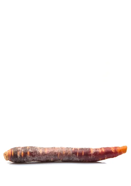 Carota fresca colorata — Foto Stock