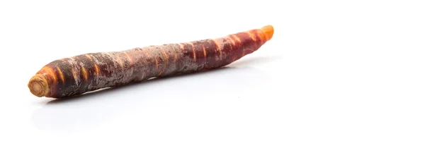 Colorful Fresh Carrot — Stock Photo, Image