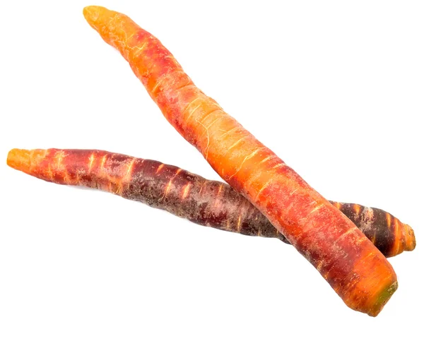 Carota fresca colorata — Foto Stock