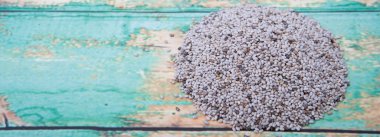 Beyaz Chia tohum kurutulmuş