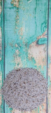 Beyaz Chia tohum kurutulmuş