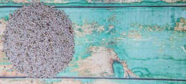 Beyaz Chia tohum kurutulmuş