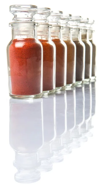 Assortment Of Hot And Spicy Spices Powder — Stock Photo, Image