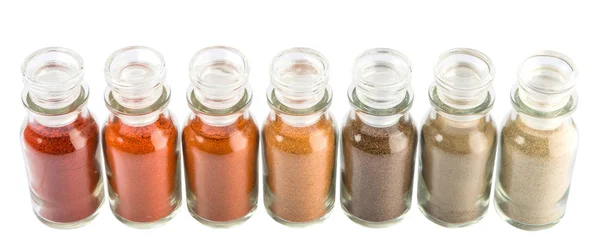 Assortment Of Hot And Spicy Spices Powder — Stock Photo, Image