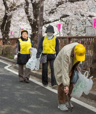 Japonya kiraz çiçeği