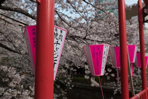 Lanterne japonaise en papier — Photo