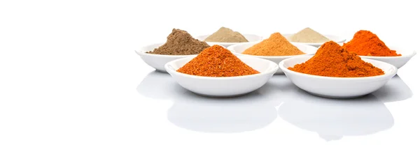 Hot and Spicy Spices — Stock Photo, Image