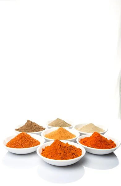 Hot and Spicy Spices — Stock Photo, Image