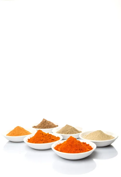 Hot and Spicy Spices — Stock Photo, Image
