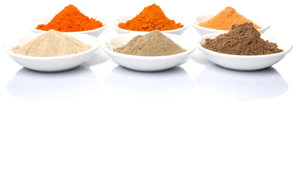 Hot and Spicy Spices — Stock Photo, Image