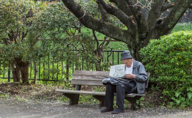 Kiraz çiçeği, Japonya