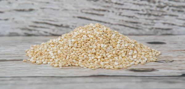 Grains de quinoa blanc — Photo