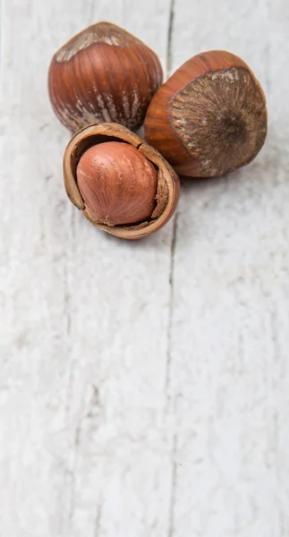 Group of Hazelnuts — Stock Photo, Image