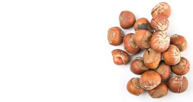 Beyaz arkaplanda fındık