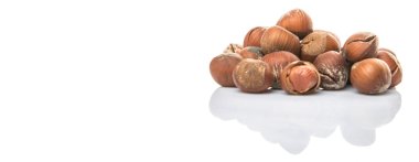 Beyaz arkaplanda fındık