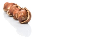 Beyaz arkaplanda fındık