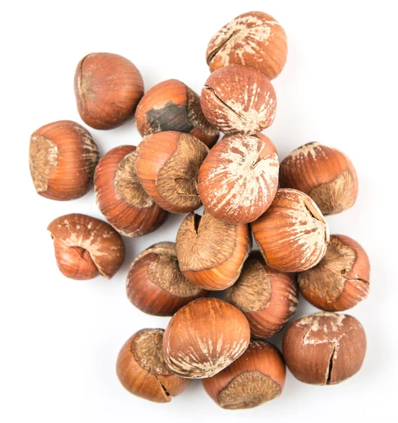 Group of Hazelnuts — Stock Photo, Image