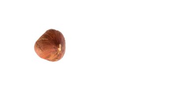 Fındık soyulmuş grup