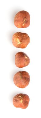 Fındık soyulmuş grup