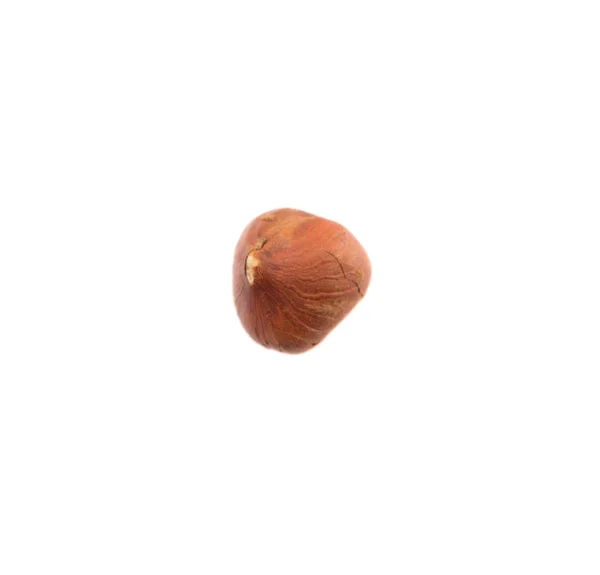 Peeled Group of Hazelnuts — Stock Photo, Image