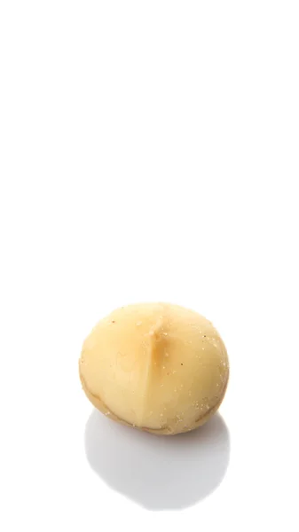Obranych orzechów macadamia — Zdjęcie stockowe