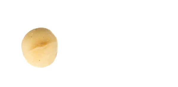 Nuez de Macadamia pelada — Foto de Stock