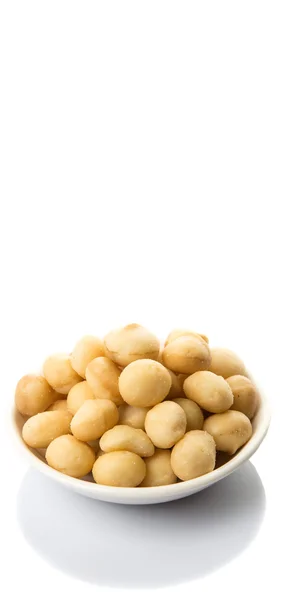 Peeled Macadamia Nut — Stock Photo, Image