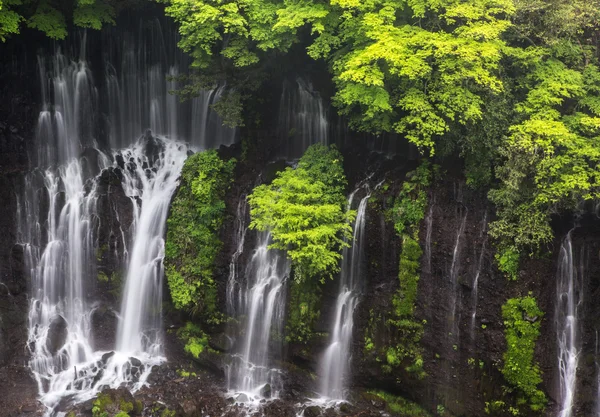 Cascate dello Shiraito, Giappone — Foto Stock