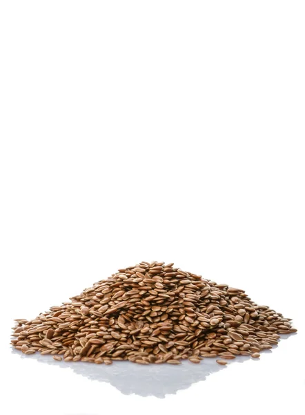 Flax Seed Isolated — Stock Photo, Image