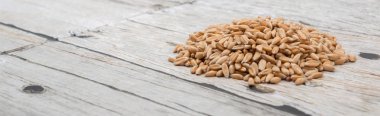 Ham buğday tahıl