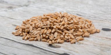 Ham buğday tahıl