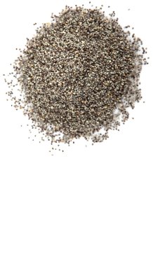 Beyaz arka plan üzerinde siyah haşhaş tohumu