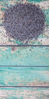 Siyah haşhaş tohumu