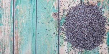 Siyah haşhaş tohumu