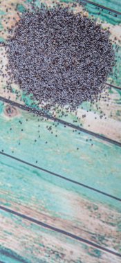 Siyah haşhaş tohumu