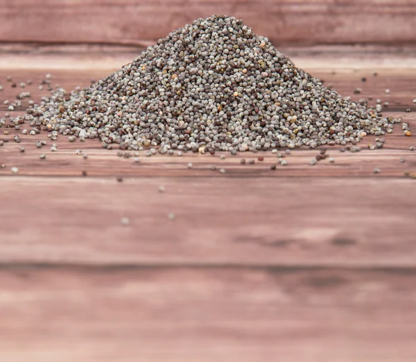 Семена черного мака — стоковое фото