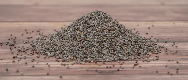 Semillas de amapola negra — Foto de Stock