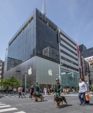 Apple Store, Ginza, Tokyo, Japonya