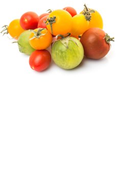 renkli kiraz domates