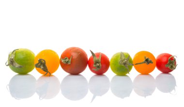 renkli kiraz domates