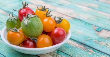 renkli kiraz domates