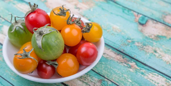 renkli kiraz domates