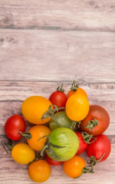 renkli kiraz domates