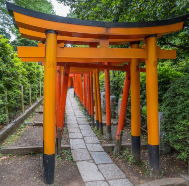 Japon Torii Gates At Nezu Shrine, Tokyo