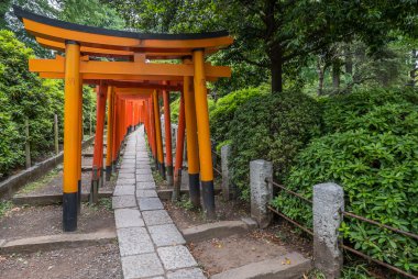 Japon Torii Gates At Nezu Shrine, Tokyo