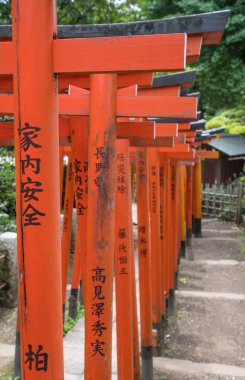 Japon Torii Gates At Nezu Shrine, Tokyo
