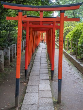 Japon Torii Gates At Nezu Shrine, Tokyo